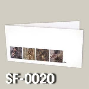 SF-0020