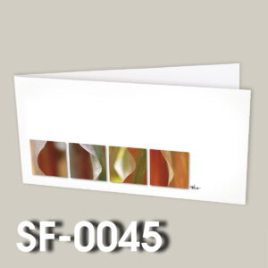 SF-0045