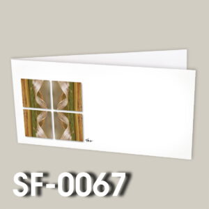 SF-0067