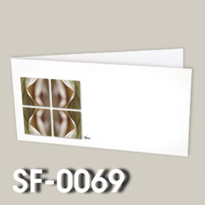 SF-0069