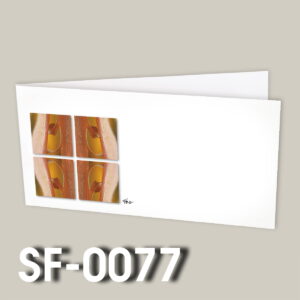 SF-0077