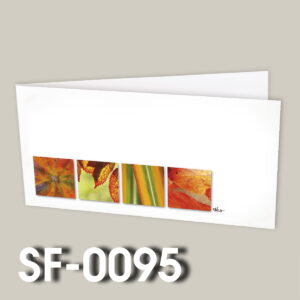 SF-0095
