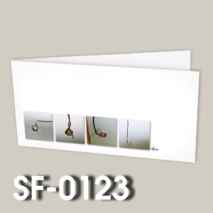 SF-0123