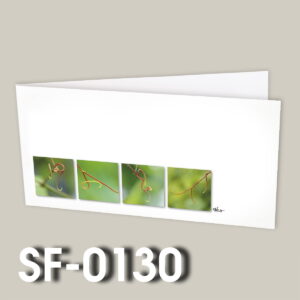 SF-0130