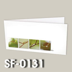 SF-0131