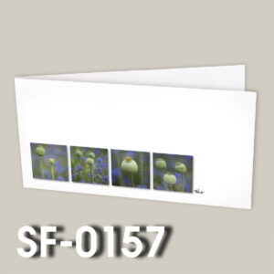 SF-0157