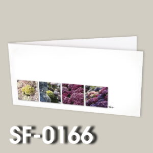 SF-0166