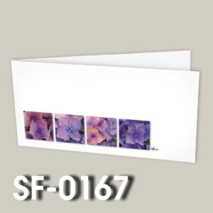 SF-0167
