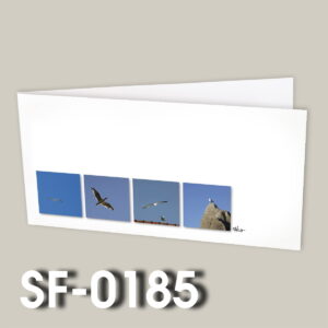 SF-0185