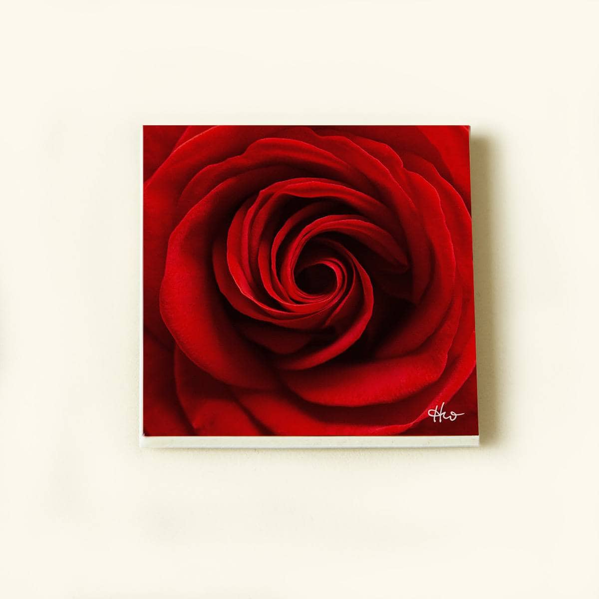 magnetART: Rosen