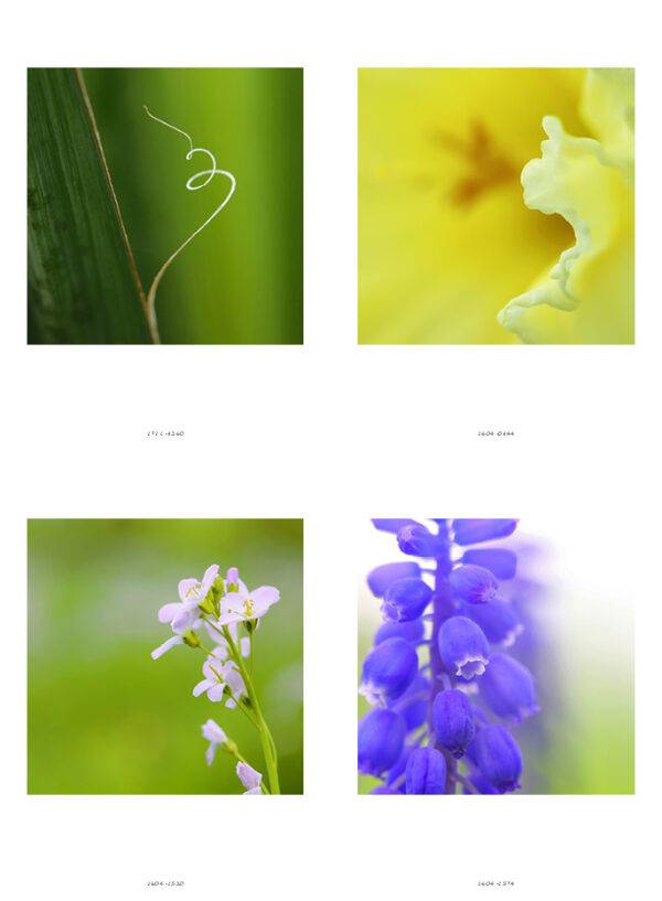 klappART Natur – Bild 6