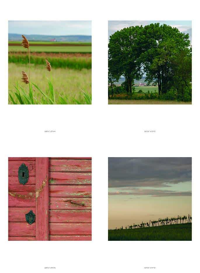 klappART Weinviertel – Bild 5