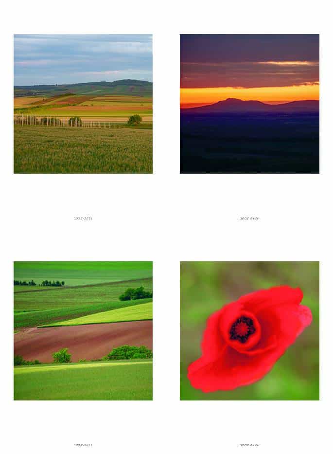 klappART Weinviertel – Bild 6