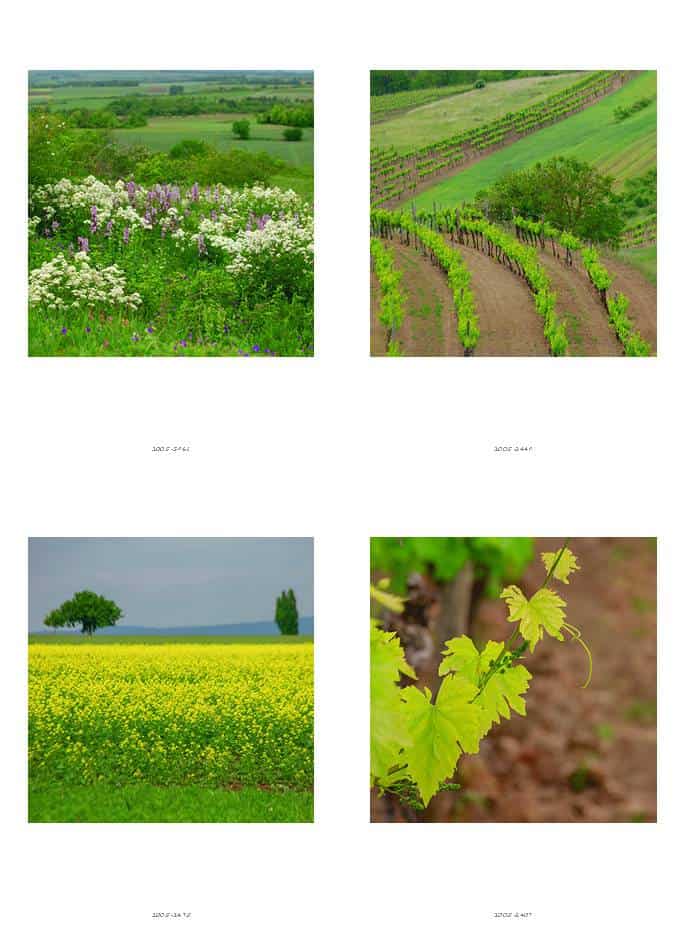 klappART Weinviertel – Bild 7