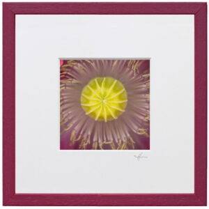 Motiv: 1807-5810Rahmen: 15lamponeMaße: 20 x 20 cm