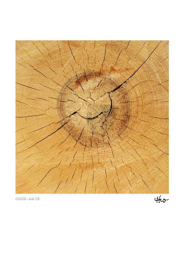 Kalender - Holzstrukturen – Bild 2