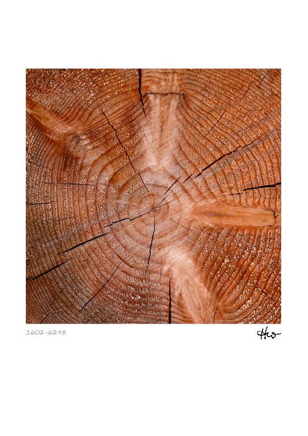 Kalender - Holzstrukturen – Bild 4