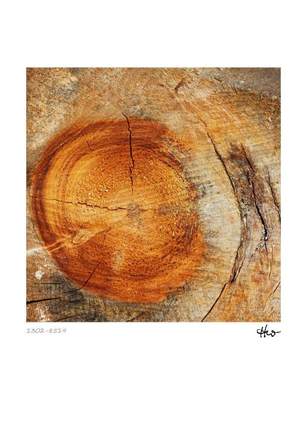 Kalender - Holzstrukturen – Bild 8