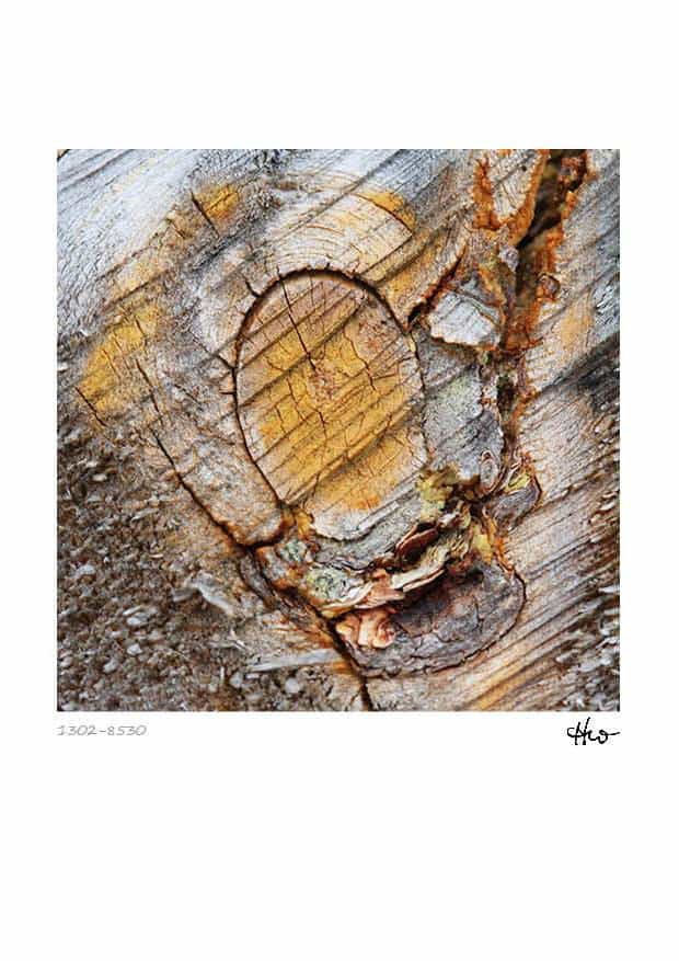 Kalender - Holzstrukturen – Bild 10