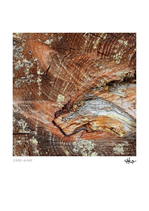 Kalender - Holzstrukturen – Bild 11