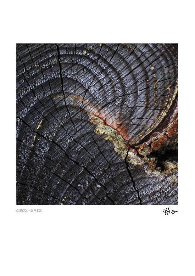 Kalender - Holzstrukturen – Bild 12