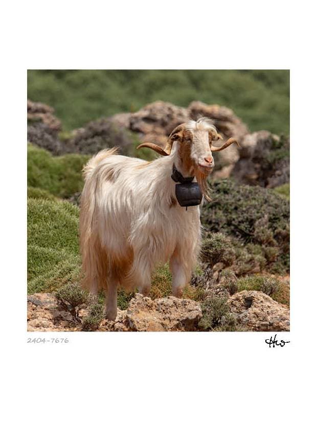 Kalender - Kreta – Bild 9