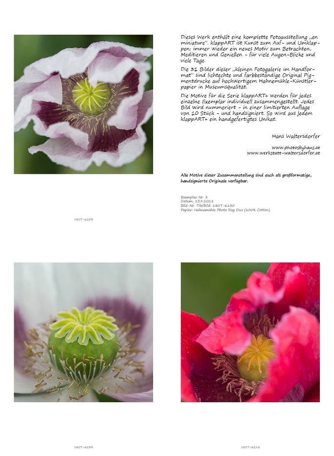 klappART Mohn – Bild 3