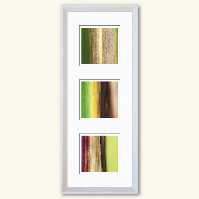 Triplet - Serie "Natur" – Bild 3