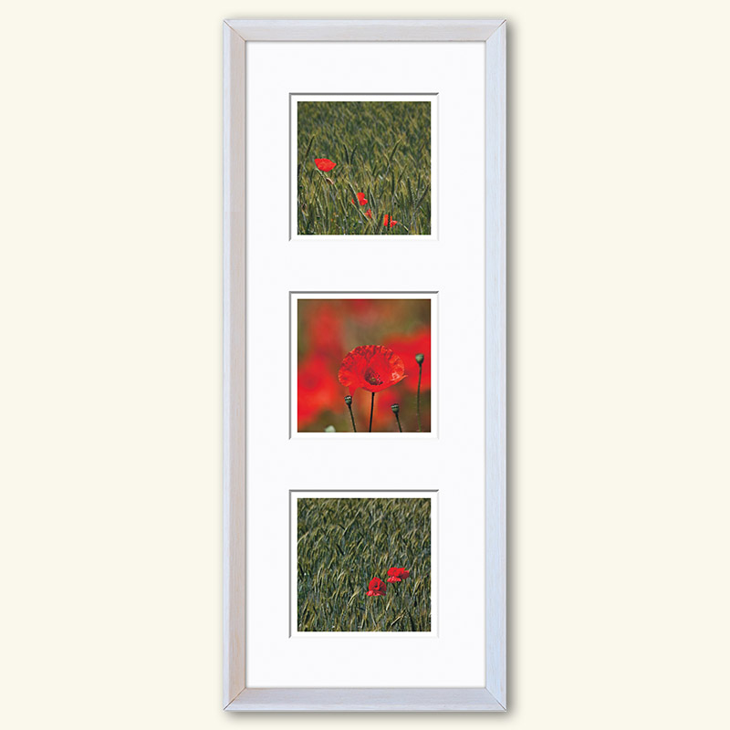 Triplet - Serie "Natur" – Bild 6