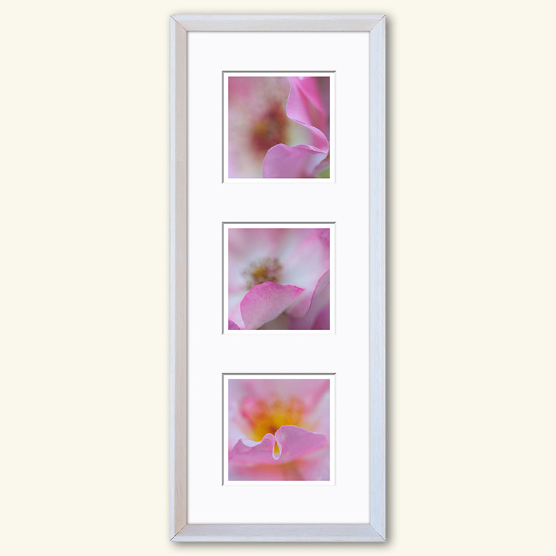 Triplet - Serie "Natur" – Bild 13