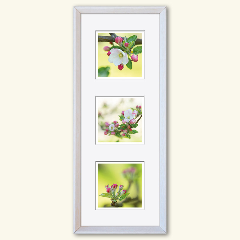 Triplet - Serie "Natur" – Bild 23