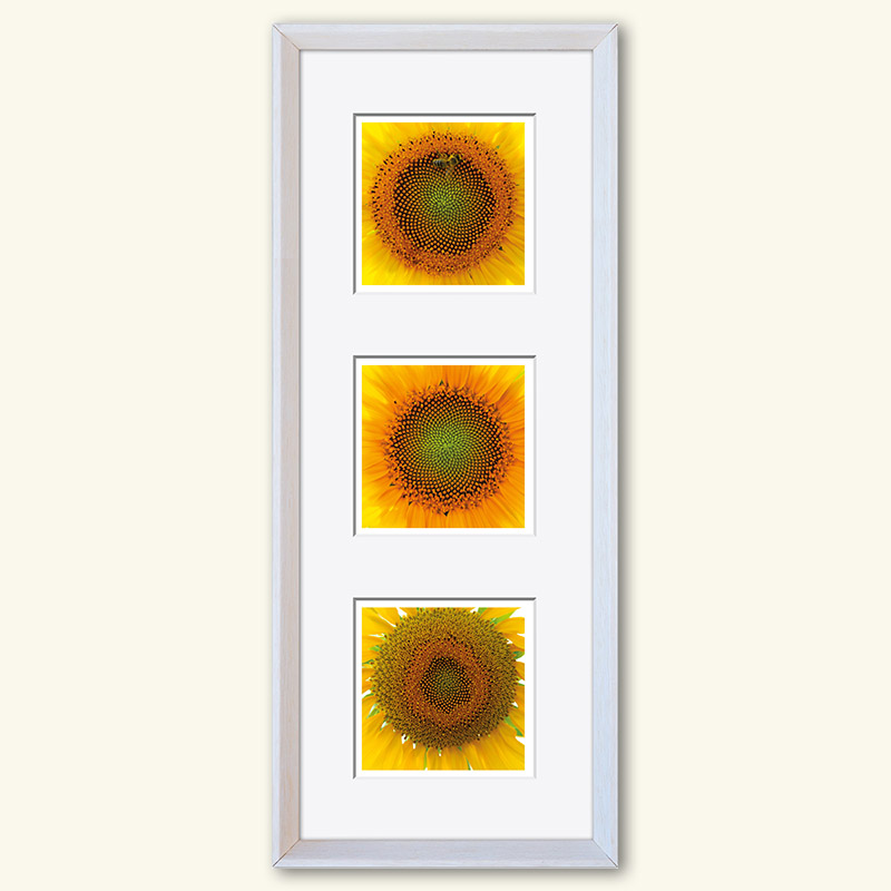 Triplet - Serie "Natur" – Bild 24