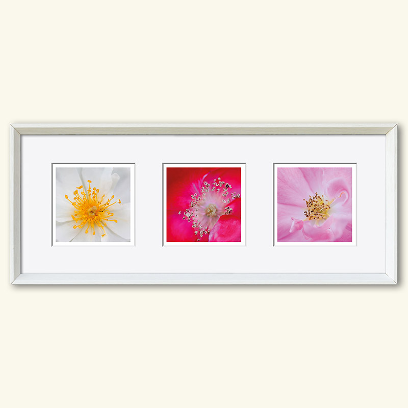 Triplet - Serie "Natur" – Bild 31