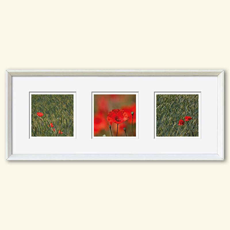 Triplet - Serie "Natur" – Bild 32