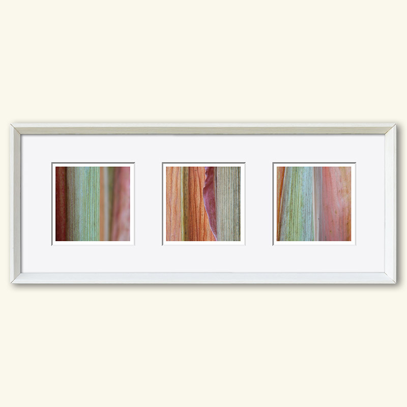 Triplet - Serie "Natur" – Bild 34