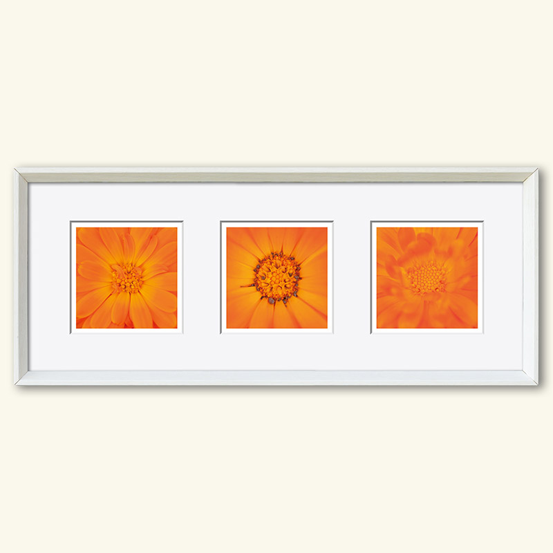 Triplet - Serie "Natur" – Bild 40