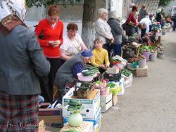 0406-6069