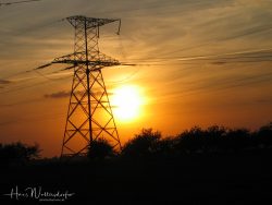 0406-6203
