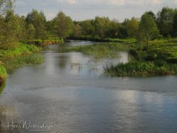 0406-6878