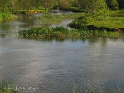 0406-6881