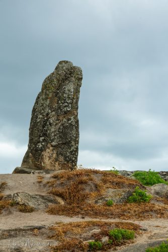 2606-2220