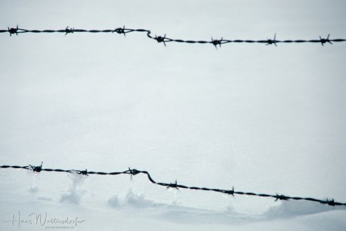 L-5329L-5329