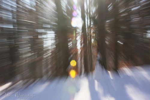 1002-6981.jpg1002-6981