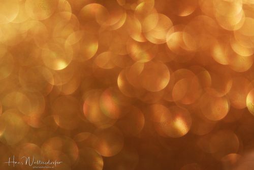 1412-4901.jpg1412-4901