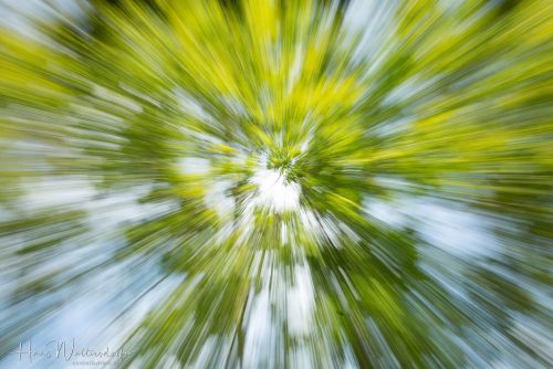 2009-7762.jpg2009-7762