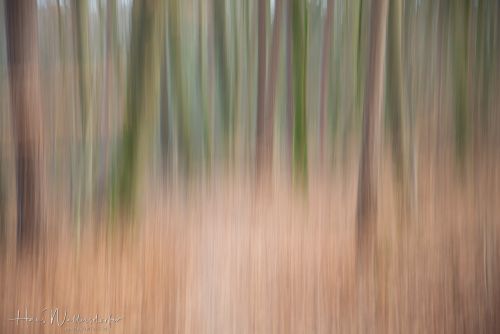 2302-8756.jpg2302-8756