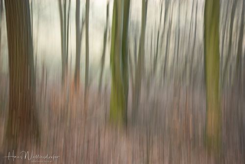 2302-8790.jpg2302-8790