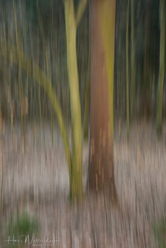 2302-8830.jpg2302-8830