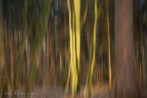 2302-8868.jpg2302-8868