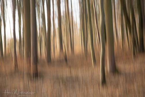 2302-8884.jpg2302-8884